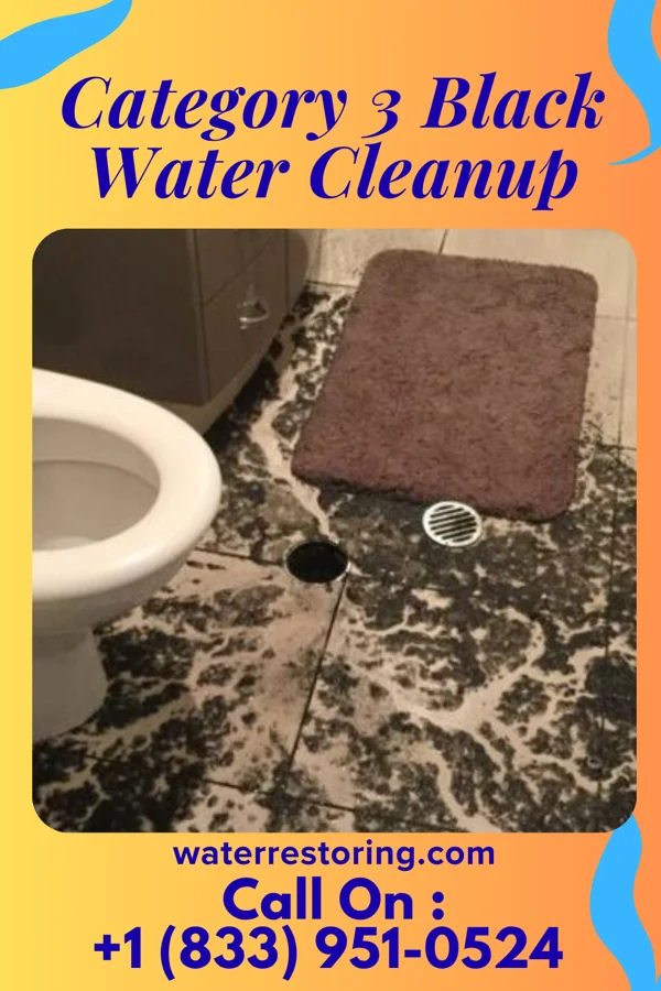 Category 3 Black Water Cleanup in Kapalua, HI