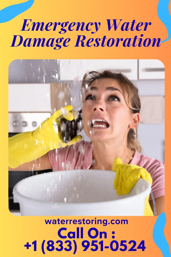 Emergency Water Damage Restoration in Kapalua, HI