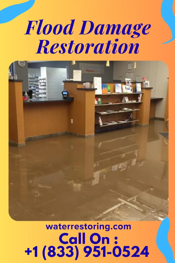 Flood Damage Restoration in Kapalua, HI