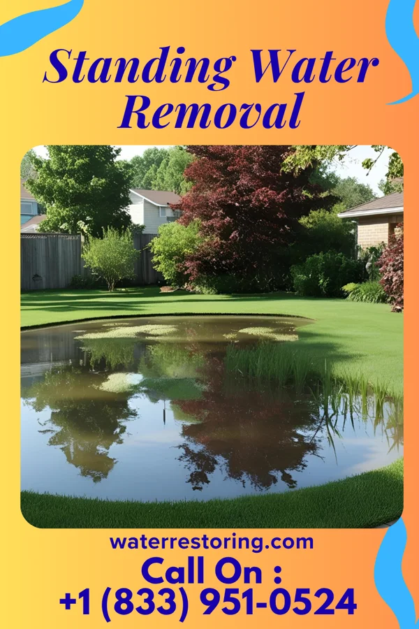 Standing Water Removal in Kapalua, HI